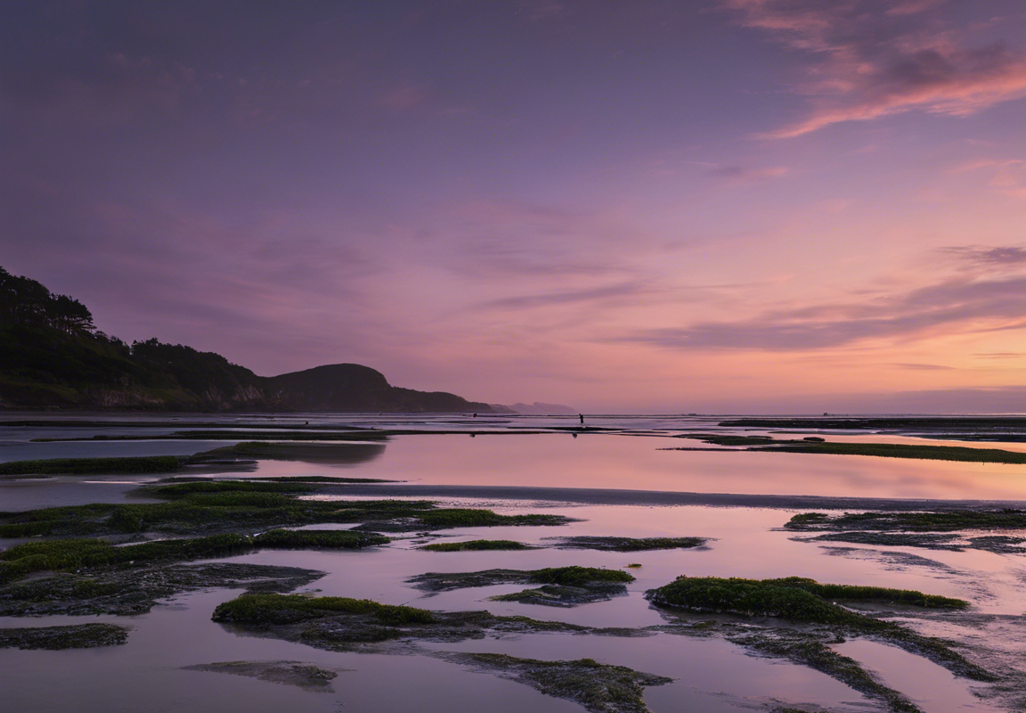 Exploring Low Tide in Twilight: An Enchanting Experience